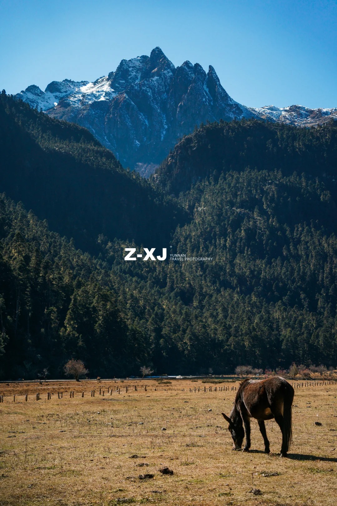 把今年的秋天🍂留给香格里拉_10_赵相机📸_云南-香格里拉-来自52tours 我爱旅游网